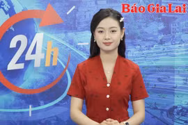 Gia Lai 24h: Ngang nhiên khai thác trái phép hàng ngàn m3 đất tại xã Ayun Hạ