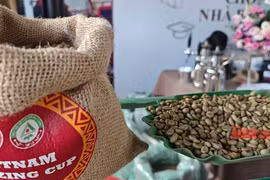 Giá cà phê hôm nay 4-5: Arabica Việt ở đâu ngon?