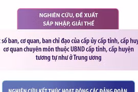 Dự kiến sắp xếp, tinh gọn tổ chức bộ máy đối với các địa phương