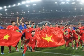 Bóng đá Việt chờ đợi gì trong năm Ất Tỵ 2025?