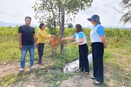 Hành trình mới từ dòng vốn nhỏ