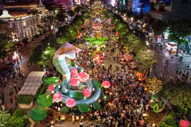 Vì sao TP.HCM năm nay lại se lạnh ngay đêm giao thừa Ất Tỵ 2025?