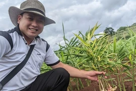 Từng bốc hàng, bán rau ngoài chợ, chàng trai có sự thay đổi không ai ngờ tới