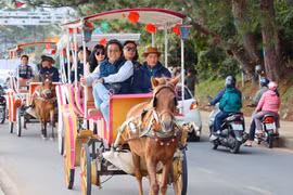 Tiếc nuối khi nhiều sản phẩm du lịch đặc trưng của Đà Lạt phải dừng hoạt động