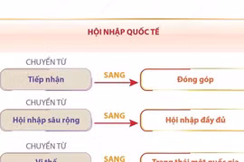 Hội nhập quốc tế là động lực quan trọng đưa đất nước bước vào kỷ nguyên mới