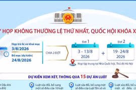Kỳ họp không thường lệ thứ Nhất, Quốc hội khóa XVI
