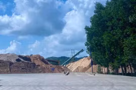 Bình Định: Trưởng ca sản xuất dăm gỗ bị điện giật tử vong