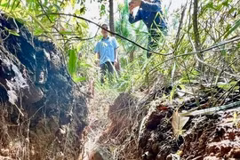 Nhiều hộ dân thấp thỏm sống dưới đồi thông có vết nứt dài 80m