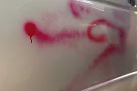 Xe đưa đón học sinh bị xịt sơn đỏ khi đang đậu trên vỉa hè