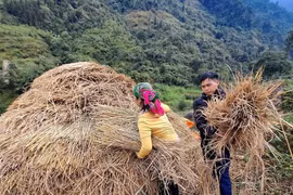 Khu vực Bắc Bộ trời rét, vùng núi có nơi rét đậm và rét hại