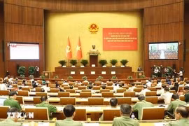 Mệnh lệnh hành động mới