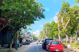 TP Quy Nhơn xây dựng 3 tuyến phố đi bộ