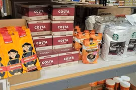 Giá cà phê hôm nay 9-3: Robusta có thể bằng giá Arabica?