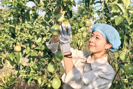 Xuất khẩu nông sản: Từ lợi thế địa phương đến sân chơi toàn cầu