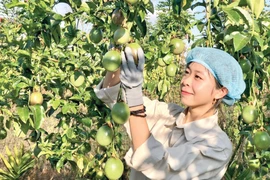 Xuất khẩu nông sản: Từ lợi thế địa phương đến sân chơi toàn cầu