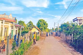 Làng Ktăng: Những ngày nuôi giấu cán bộ cách mạng