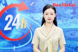 Gia Lai 24h: Gần 300 ấn phẩm Tết góp mặt tại Hội Báo Xuân Ất Tỵ 2025