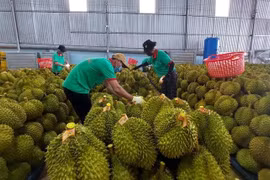 Thay đổi để thích nghi và vượt qua những rào cản