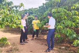 Đăk Djrăng: Điểm sáng trong công tác Hội và phong trào nông dân