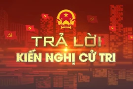 Ủy ban nhân dân tỉnh trả lời kiến nghị của cử tri 