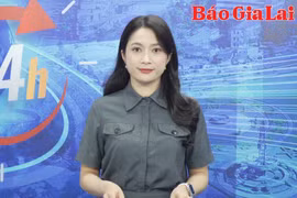 Gia Lai 24h: Khai mạc Tuần lễ Hoa dã quỳ-Núi lửa Chư Đang Ya với nhiều hoạt động hấp dẫn