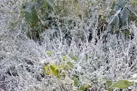 Băng giá xuất hiện ở một xã biên giới miền Trung