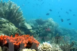 Phát hiện đột phá về nguồn gốc nước trên Trái Đất