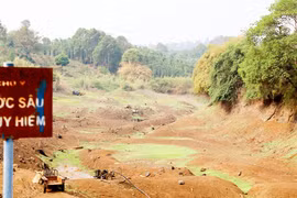 Nông dân 'gồng mình' chống hạn cứu cây trồng