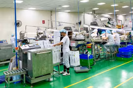 Nhà máy chế biến nông sản Olam của Chi nhánh Công ty TNHH Olam Việt Nam tại Gia Lai. Ảnh: H.D