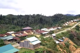 Liên tiếp 13 trận động đất ở Quảng Nam, Kon Tum