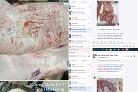 C.P. Việt Nam phản hồi về thông tin thịt heo bệnh lan truyền trên mạng