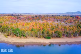 Rực rỡ sắc màu rừng Yok Don