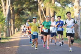 Các vận động viên sẽ xuất phát và về đích tại khu vực hàng thông trăm tuổi. Ảnh: L.V.N