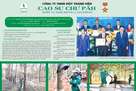 Công ty TNHH Một thành viên Cao su Chư Păh 