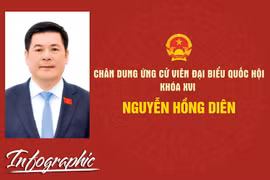 Chân dung ứng cử viên đại biểu Quốc hội khóa XVI Nguyễn Hồng Diên.