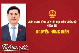 Chân dung ứng cử viên đại biểu Quốc hội khóa XVI Nguyễn Hồng Diên.
