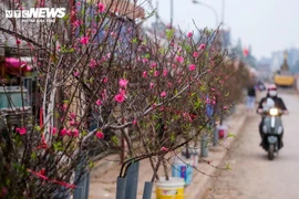 Mùa đông năm nay ít mưa hơn, Tết Nguyên đán khả năng rét khô