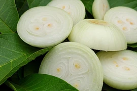 Phát hiện loại củ quả dân dã là 'khắc tinh của ung thư'