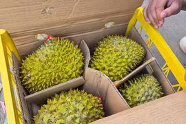 Sầu riêng vừa đón tin vui từ Trung Quốc