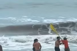 Xôn xao clip nhân viên bảo vệ xô đẩy, ngăn du khách tắm biển khi sóng lớn