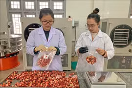 'Biến hóa', nâng tầm giá trị nông sản Đà Lạt