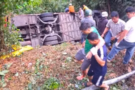 Vụ xe khách rơi xuống vực đèo Bảo Lộc: Tạm giữ tài xế để điều tra