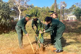 Bộ đội Biên phòng tích cực trồng cây xanh để bảo vệ môi trường