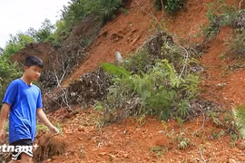 Cảnh báo lũ quét, sạt lở đất tại Kon Tum và Lâm Đồng