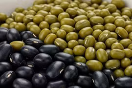 Ăn đậu gì để cùng lúc giảm cholesterol và đường huyết?