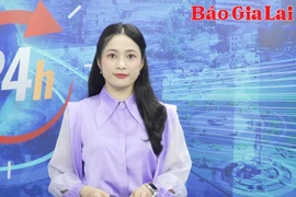 Gia Lai 24h: Triển khai thực hiện các văn bản mới và giao ban công tác tổ chức xây dựng Đảng