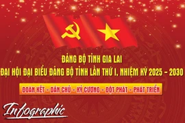 Đại hội đại biểu Đảng bộ tỉnh Gia Lai lần thứ I