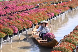 Thủ phủ hoa Sa Đéc khai hội xuân, đón Tết sớm