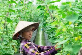 Lần đầu tiên có giải báo chí về Bình đẳng giới