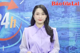 Gia Lai 24h